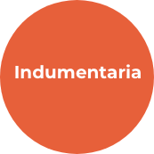 Punto de introducción a la subseccion Indumentaria